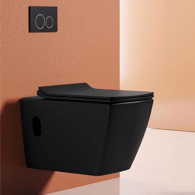 Concealed Cistern WCs