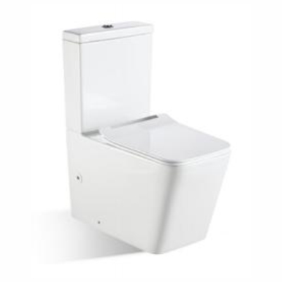 Rimless Flushing Toilet